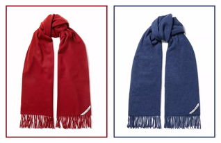 顏色選的對，圍巾大衣更般配